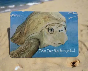 Magnet- Artiful Bender