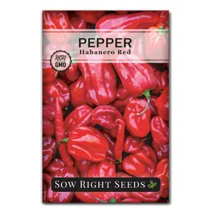 Habanero Red Pepper Seeds