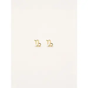 Capricorn Zodiac Earrings