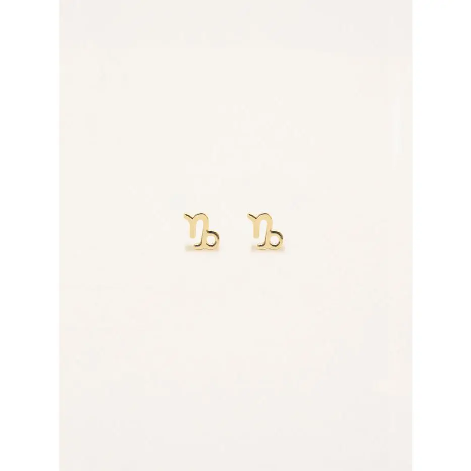 Capricorn Zodiac Earrings