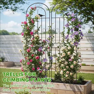 Bamworld 2-Pack Rustproof Metal Plant Trellis (180x50 cm) - Outdoor Climbing Support for Roses, Vines, Garden Decor for Courtyards, Patios