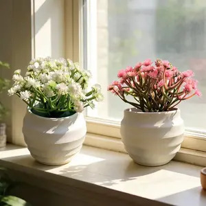 2 Piece Artificial Miniature Plant Set, Plastic Fake Plants for Home Office Bedroom Living Room Bathroom Decor, Base Included, Birthday Graduation Gift