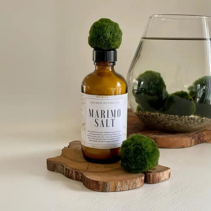 Sacred Elements Marimo Salt 4oz Glass Bottle for Healthy Aquatic Environment - Fine Salt for Marimo Care