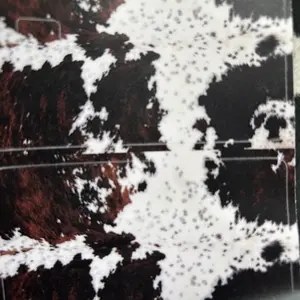 Wilder Credit Card Skins