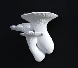 Pleurotus Eryngii Mushroom Shelf designed by Gazzaladra with Cottagecore/Fairycore aesthetic Decor Shelves Nature Decorative Nature