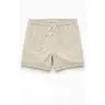 Pacsun Men's Cursive Contrast Stitch 4.5" Swim Trunks