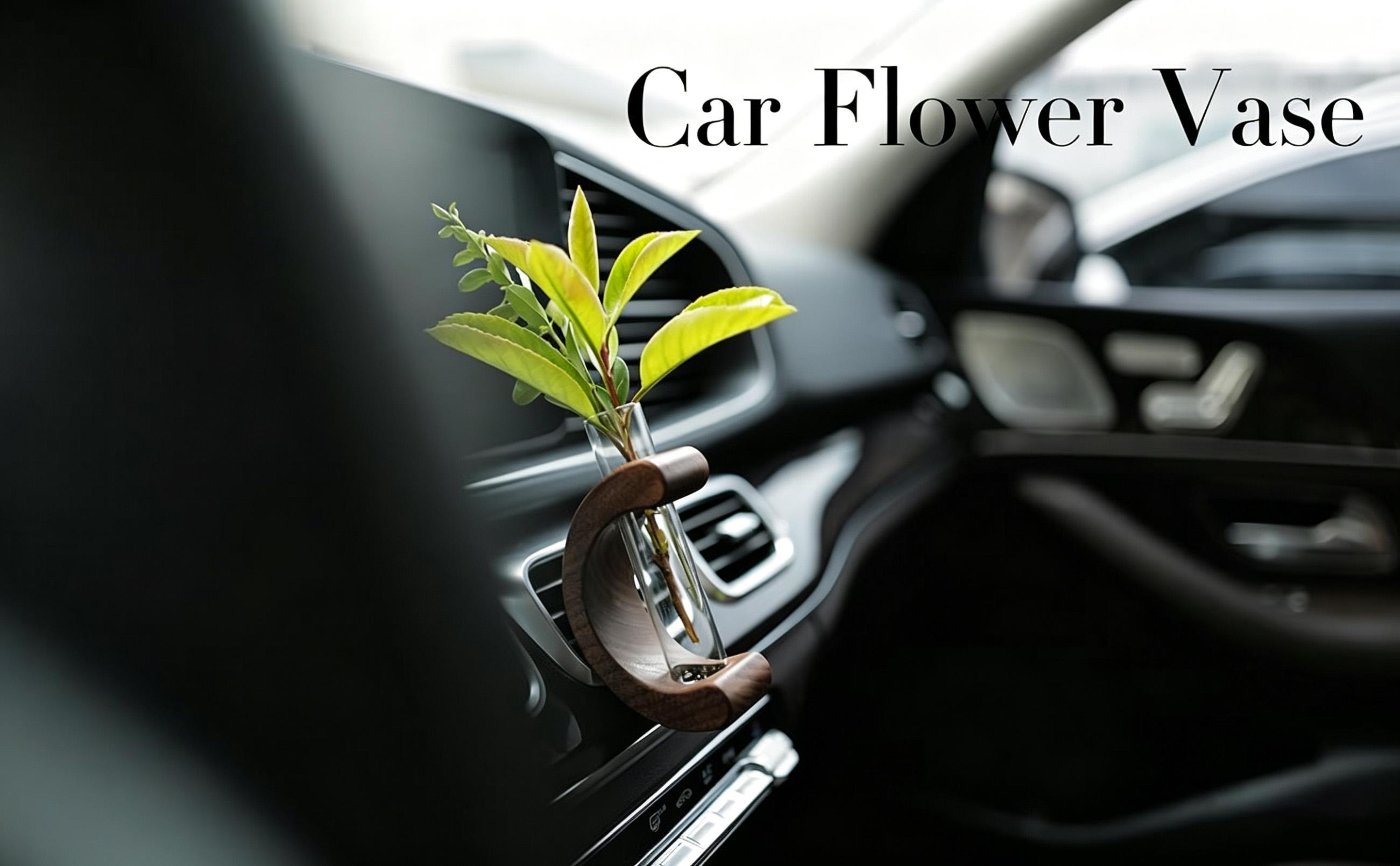 DIBMS Car Dashboard Decorations - Propagation Vase Vent Clip for Fresh/Dried Flowers, Plant Cuttings, Car Interior Aesthetics Decor Accessories - Gift for Plant Lovers, Women & Moms DIBMS Car Dashboard Decorations - Propagation Vase Vent Clip for Fresh/Dried Flowers, Plant Cuttings, Car Interior Aesthetics Decor Accessories - Gift for Plant Lovers, Women & Moms