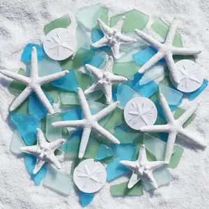 12  Starfish & 10oz Sea Glass Decor - Frosted Seaglass Pieces & Starfish Sand Dollar for DIY Crafts, Beach Weddings, Vase Filler, and Home Decor Ornaments (Green, Aquamarine, White)