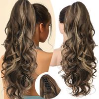 Chocolate Brown with Highlights