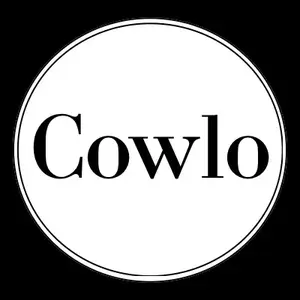 background preload poster image 