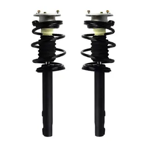 Front Quick Complete Struts Coil Springs for BMW 320i 323i 325i 325ci 330i