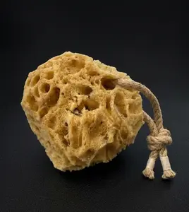 The Primal Scrub