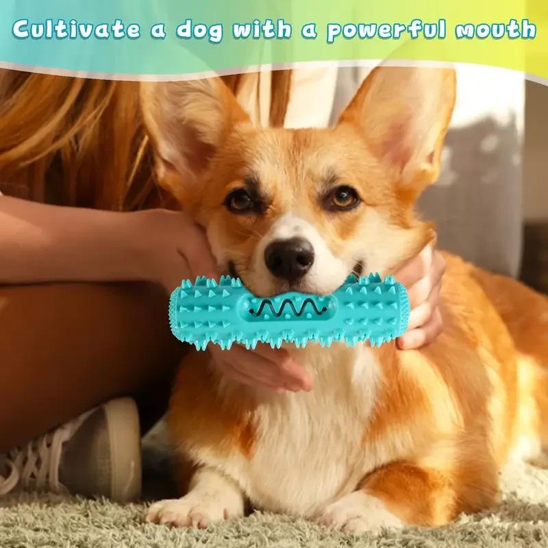 3-in-1 Set Dental Chew Stick Cooling Toothbrush Toy Freezable Ice Chew Toy For Gum Massage Small Medium Breeds Outdoor Bungee 1-Pack 3-in-1 Set Dental Chew Stick Cooling Toothbrush Toy Freezable Ice Chew Toy For Gum Massage Small Medium Breeds Outdoor Bungee 1-Pack