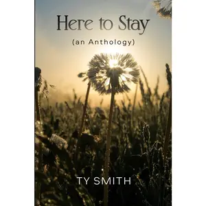 USED-Here to Stay (an Anthology) by Smith, Ty (Paperback)