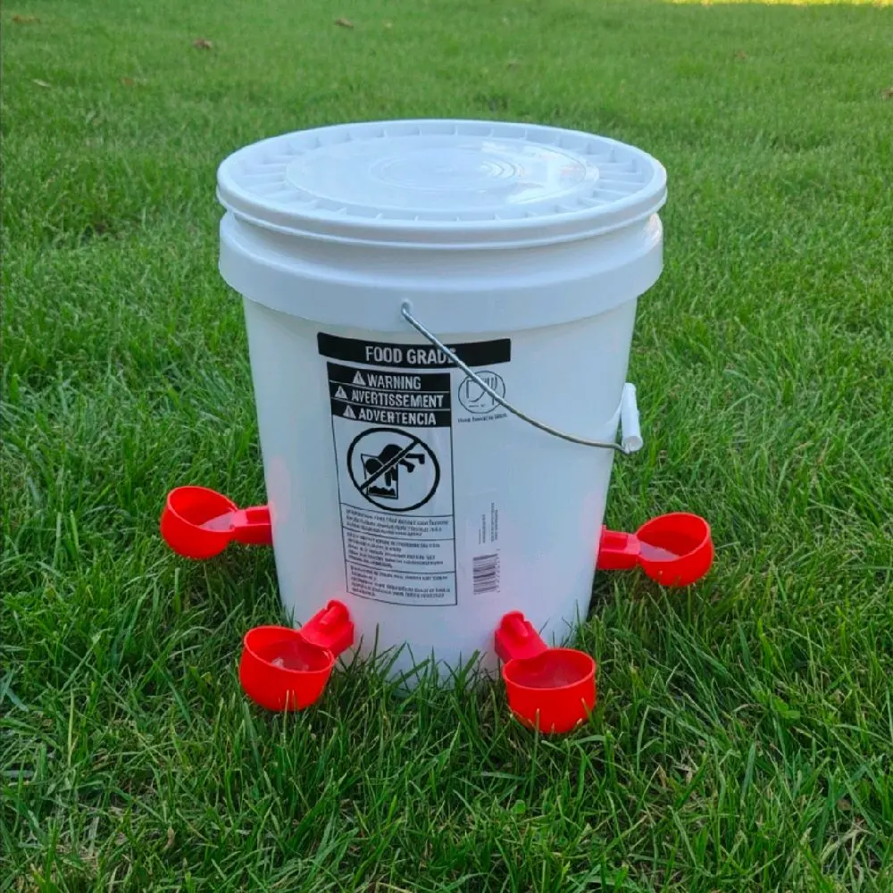 Poultry & Chicken Water Dispenser, 5-Gal Food-Grade Bucket with Snap-Closed Lid and 4 Red Drinking Cups for Farm Animals