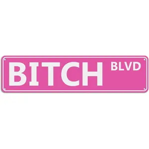 Pink BITCH BLVD Sign, 16 x 4 inches .040 Aluminum, Room Decor for Girls Cave, Bedroom, Dorm, Wall, 4 Pre-drilled Holes Stylish Plaque Minimalist Metal
