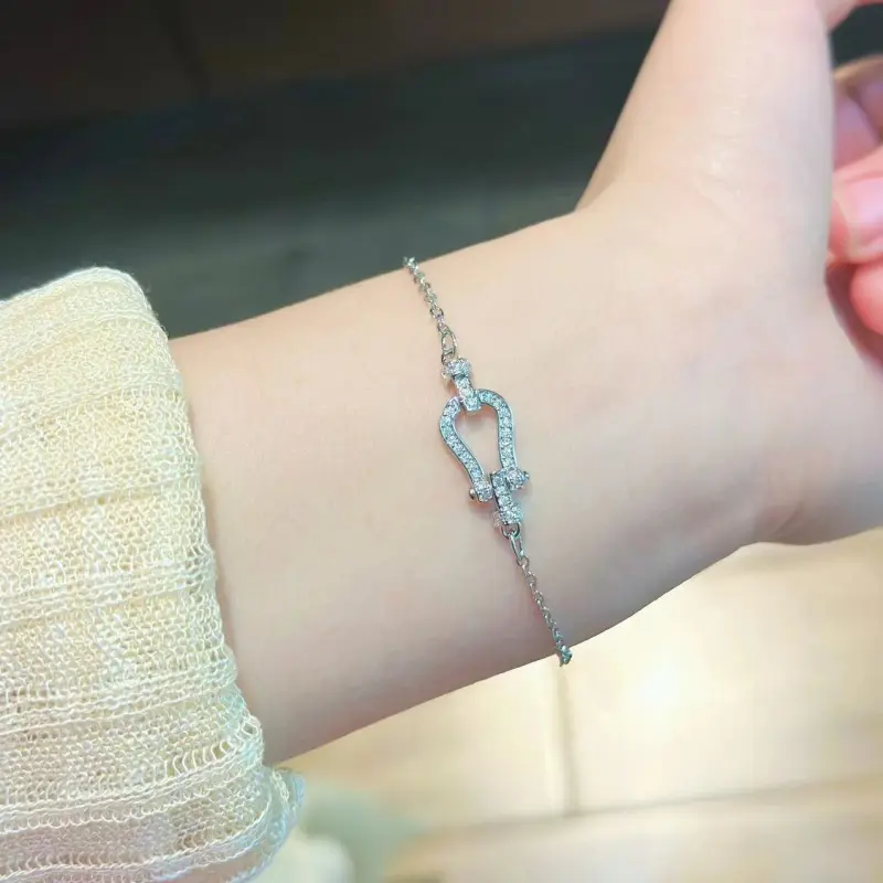 This is a popular European and American horseshoe buckle necklace that is versatile for women, exuding a sense of high-end sophistication. It features a slightly inlaid, niche, and luxurious heavy industry collarbone chain This is a popular European and American horseshoe buckle necklace that is versatile for women, exuding a sense of high-end sophistication. It features a slightly inlaid, niche, and luxurious heavy industry collarbone chain