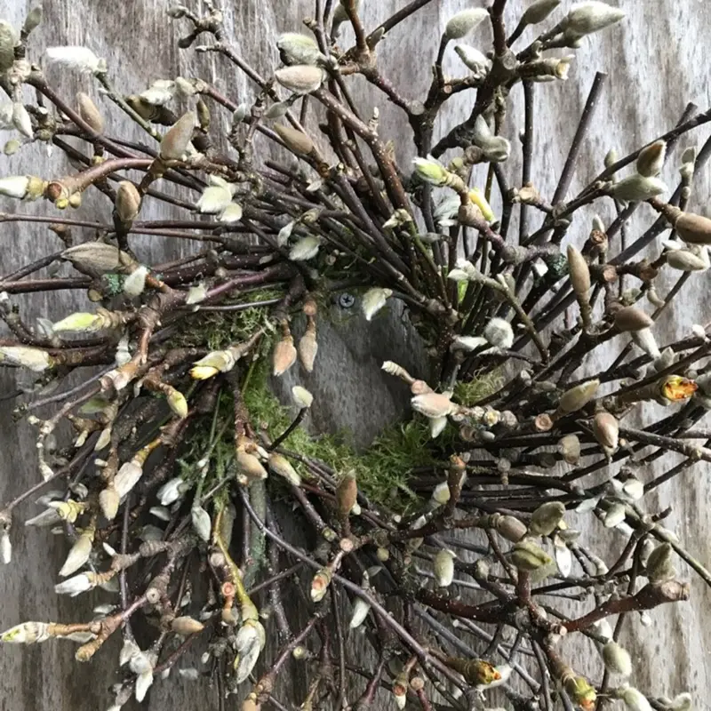 Tulip Magnolia wreaths