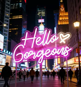 Hello Gorgeous Neon Light for Wall Decor Pink USB Powered LED Sign with Dimmable Switch Neon Sign for Homem  Wedding Birthday Backdrop Party