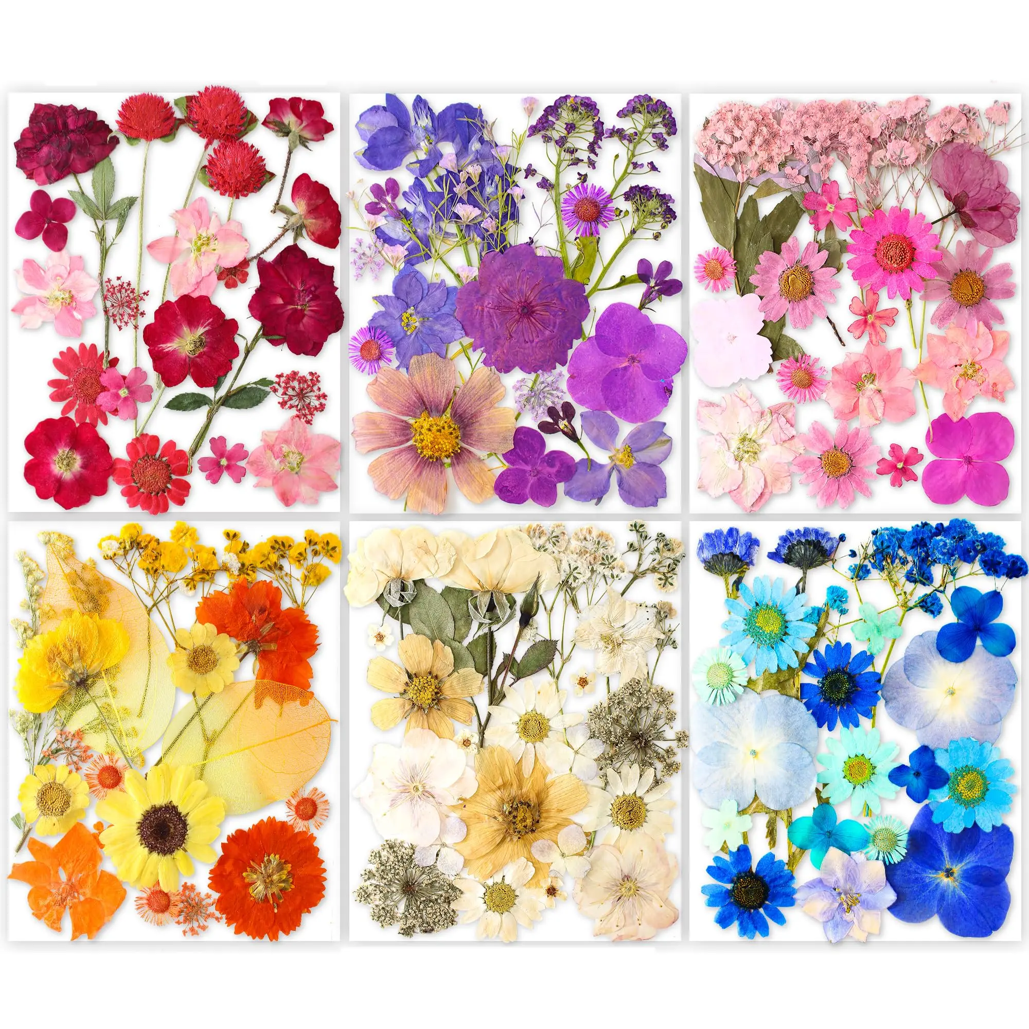 221pcs Real Dried Pressed Flowers For Craft  Dry Pressing Floral With Butterfly Transparent Stickers Set Diy Making Card Scrapbook Art Eternity Summer