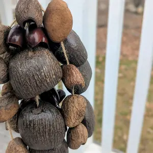 Shell Hanging Bells - Natural Decorative Ornaments for Home and Garden Hangable Decoration