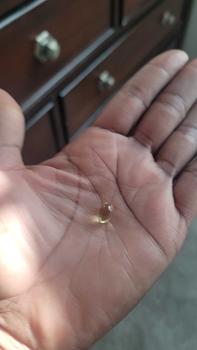 product review image from Andrea Austin ❌️ 1