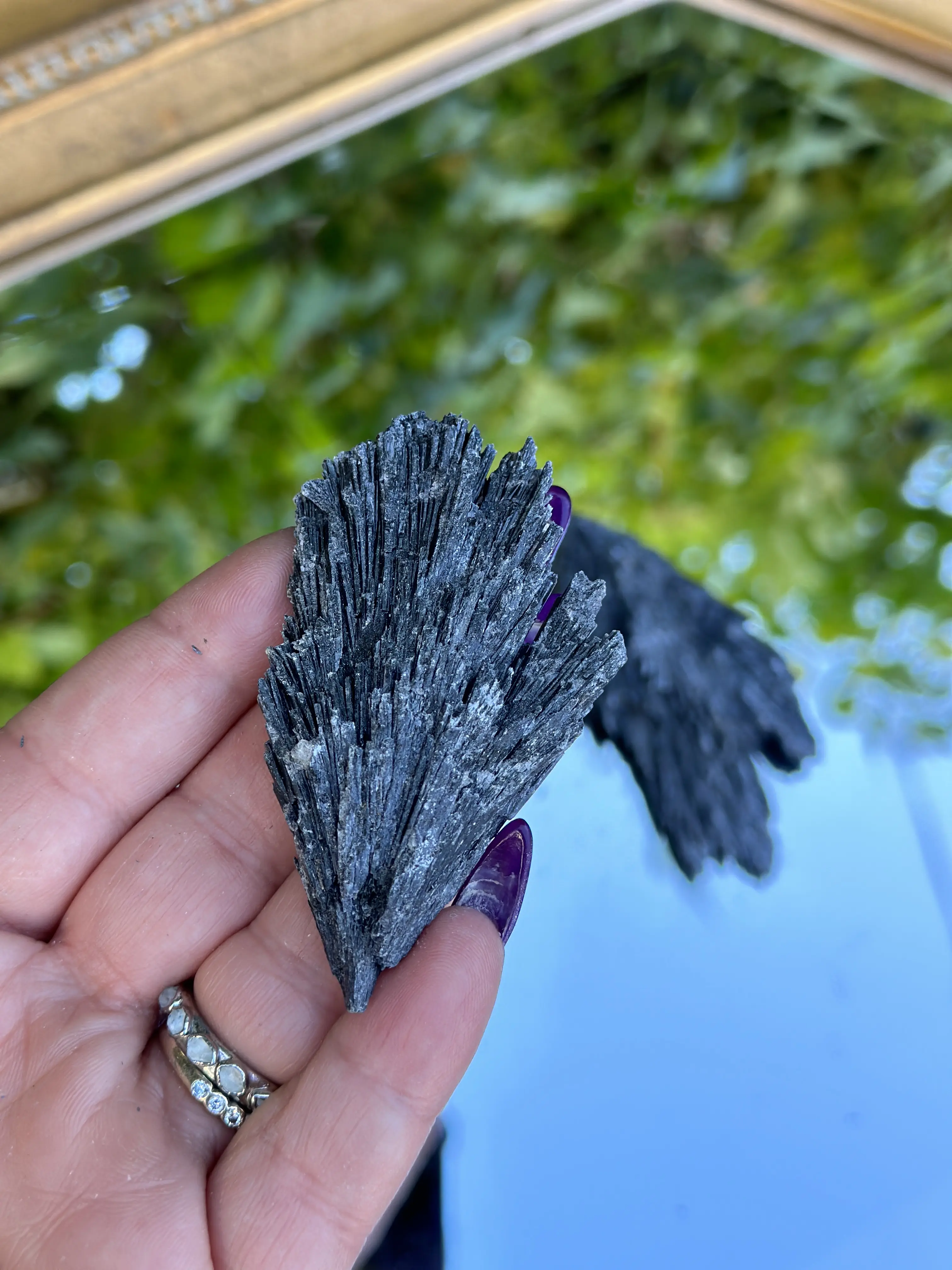 Amityville Apothecary Black Kyanite, Natural Crystal for Protection, Natural Stone Decor