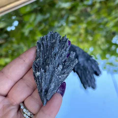 Amityville Apothecary Raw Black Kyanite Pure Stone Pieces (2-3 in) - 1-Piece Crystal Ornaments, Energy Protection, Clears Energetic Field, Raw State Home Ornament, Natural Crystal Gemstone