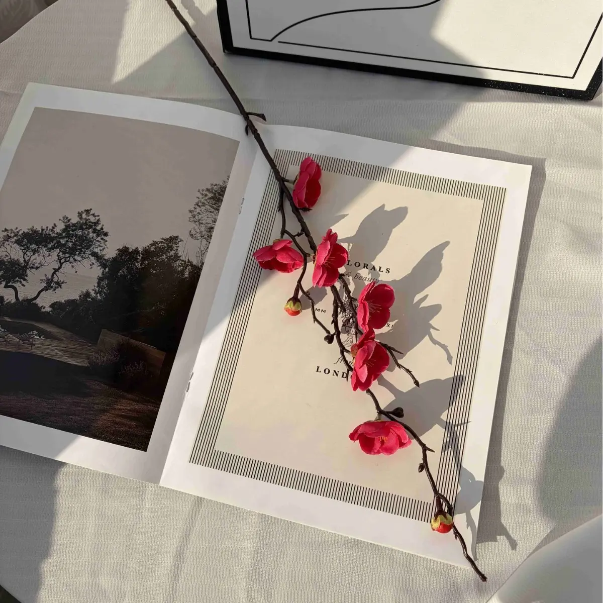 Wishing-fulfilling Plum Blossom in Rose Red