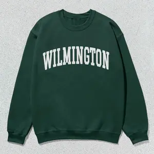 Wilmington NC Sweatshirt, North Carolina Collegiate Crewneck, Unisex Wilmington Crewneck, College Town Pullover, Wilmington Gift for Locals & Students