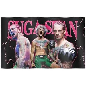 Sean Boxing Tapestry Flag 3*5 Feet Funny Poster Banner Wall Outdoor Hanging Flag With Brass Grommets for College Dorm Room Decor.