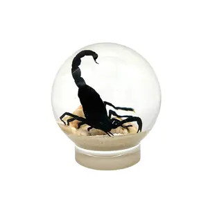 Real Black Scorpion in Resin Globe – Nature-Inspired Decorative Art, Entomology Collectible & Home Decor Ornament, Scorpio Unique Gift