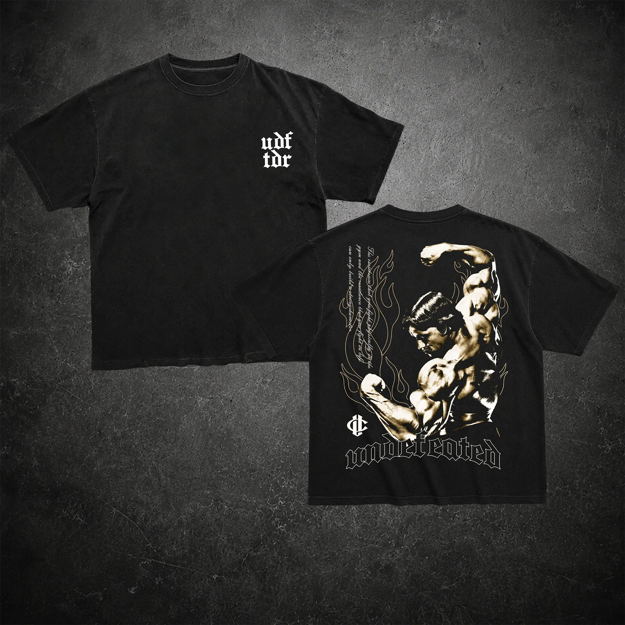 [Old School Series] The Terminator - Arnold Gym T-shirt, Gym Apparel, Workout Wear, Training Men's Top, Aesthetic Shirt, Discipline, Strength, Focus