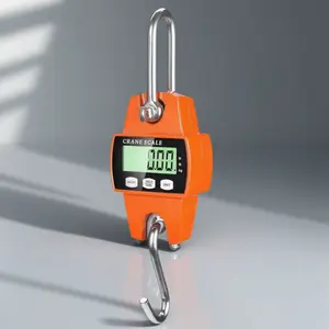 Portable Handheld Electronic Crane Scale, 660lb Capacity Waterproof Shockproof Aluminum Alloy Housing, Outdoor High Precision Weighing Device for Logistics, Lifting, Fishing, Hunting, Farm & Commercial Use