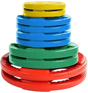 French Fitness Colored Rubber Grip Olympic Plate Set 190 lbs (New)