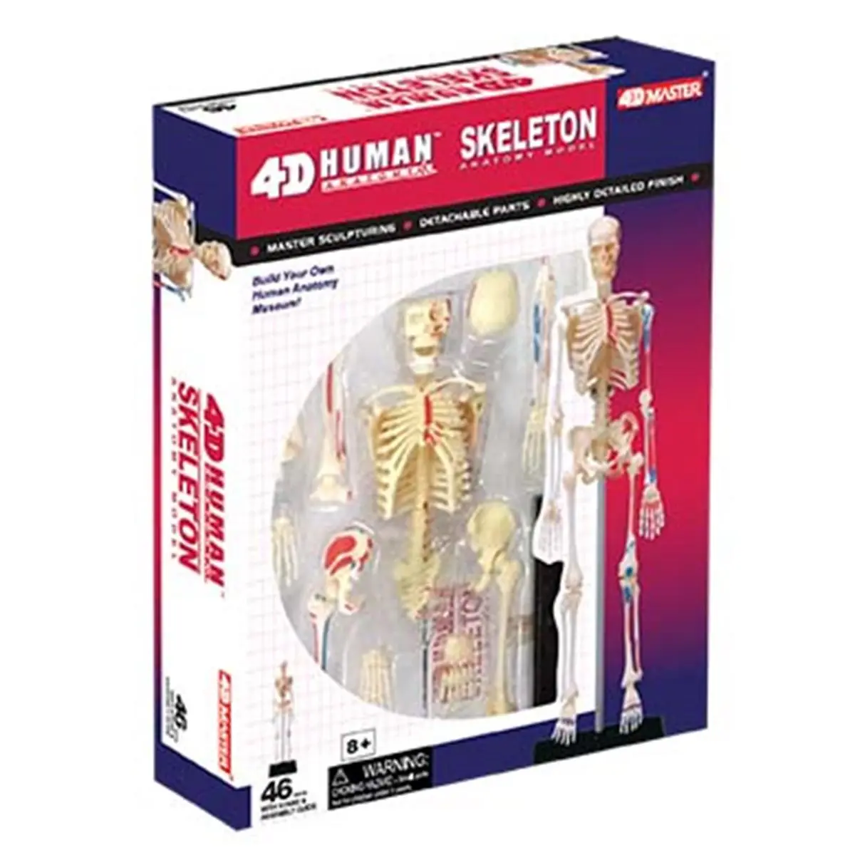 Tedco Toys 4D Detachable-Parts Small Animal Human Anatomy Skeleton Model - Hand-Painted, with Assembly Guide, Display Stand, Anatomy Museum & Curriculum Learning Tool