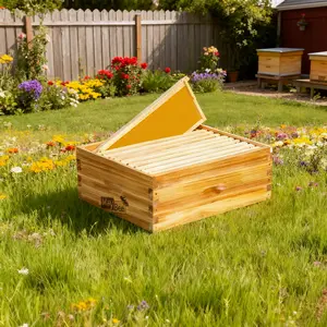 Maybee Hives Assembled 10 Frame Medium Super Bee Box Wax Coated Bee Hives Includes Bee Hive Wooden Frames & Bee Waxed Foundations, Beekeeping Tools for beekeepers,  Beekeeping Equipment ，Deep Bee Box Beehive