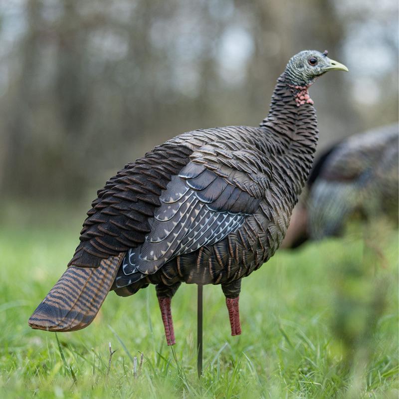 Avian X Heavy Duty Realism Hen Decoy