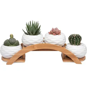 E-liu Succulent Pots and Stand Set, Ceramic White Succulent Planter Pot with Drainage, Pack of 4, Cute Office Garden Indoor Decoration, Plants Not Included