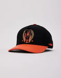 Mens Pro Standard MLB Baltimore Orioles Crest Hat