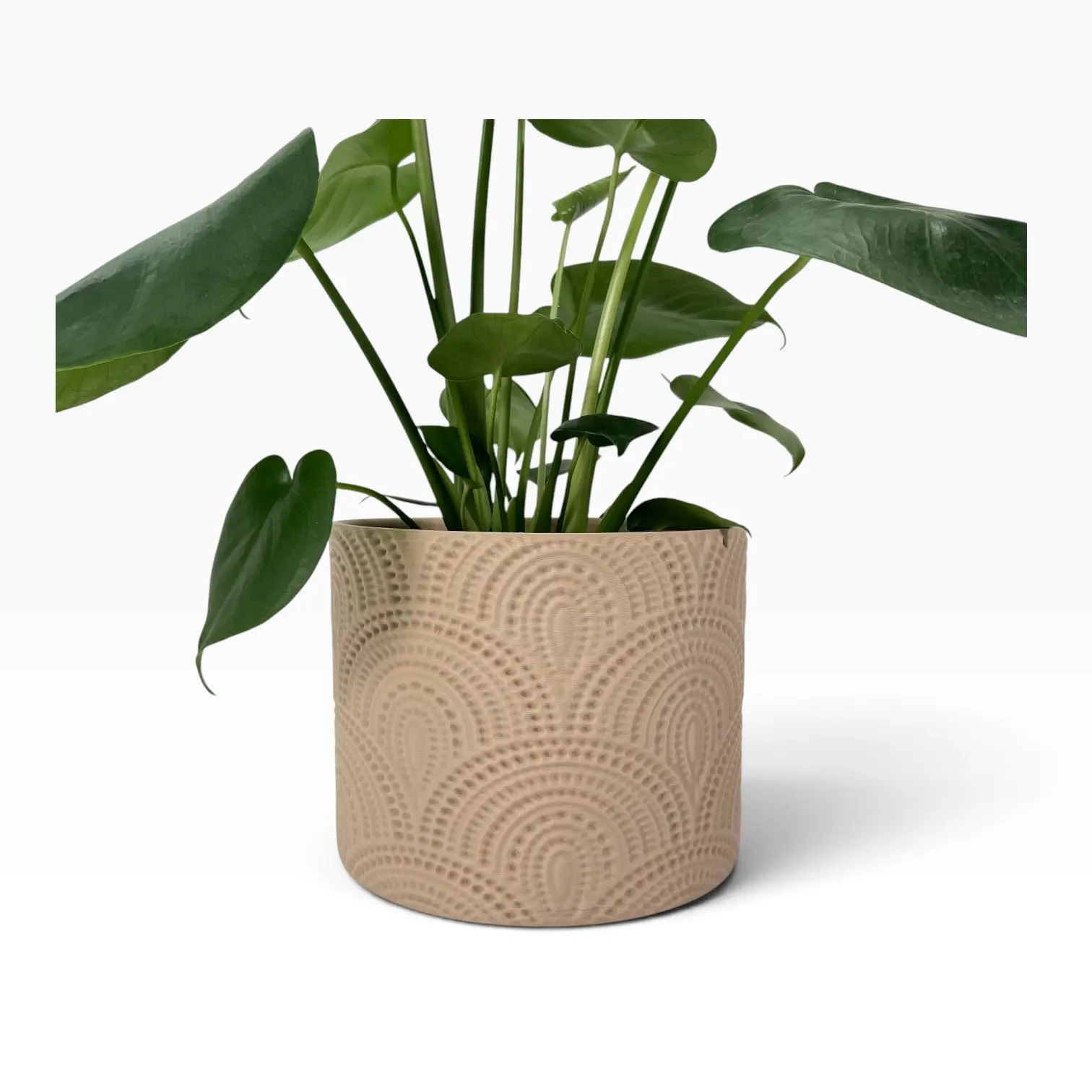 Boho Bloom- 3D Printed Boho Planter with Drainage Holes