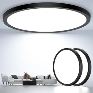 Flush Mount Ceiling Light Fixtures,12inch Flat led Light for Ceiling,6500K 3200LM Ultra Thin Round Black Lamp for Bedroom Kitchen,Bathroom,Garage,Living Room, Dining Room - 2PCS