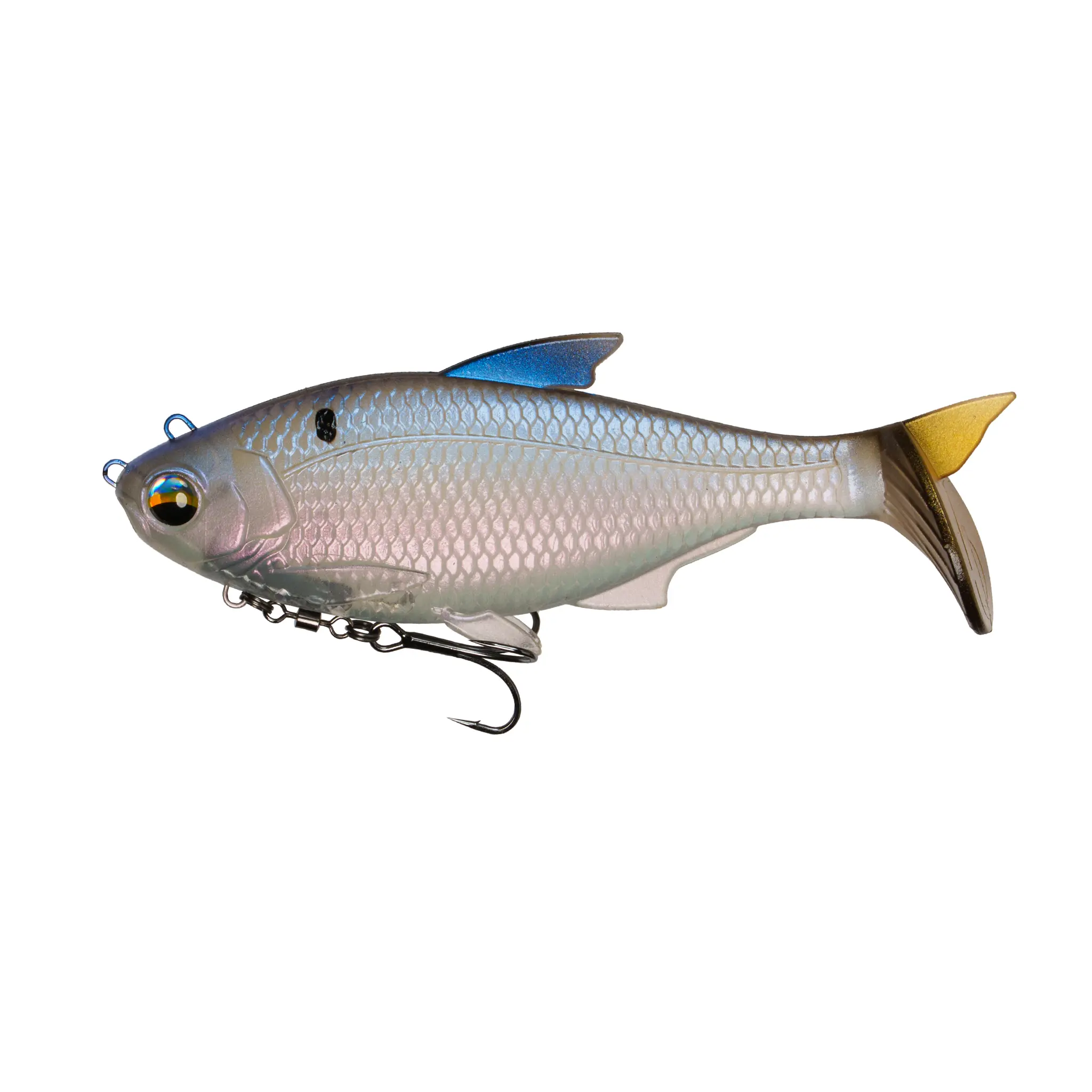 Clearwater Shad