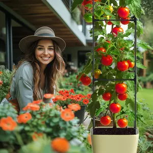 【mothersdaygift】Lilypelle Garden Tomato Planter Box with Trellis, Self-Watering Raised Garden Bed for Crops & Flowers, Ideal for Growing Vegetables