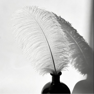 Warm Residence Building