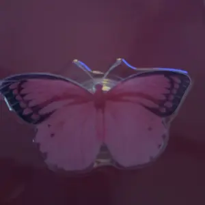 review image 4