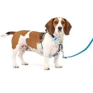 PetSafe Easy Walk No Pull Comfort Harnesss