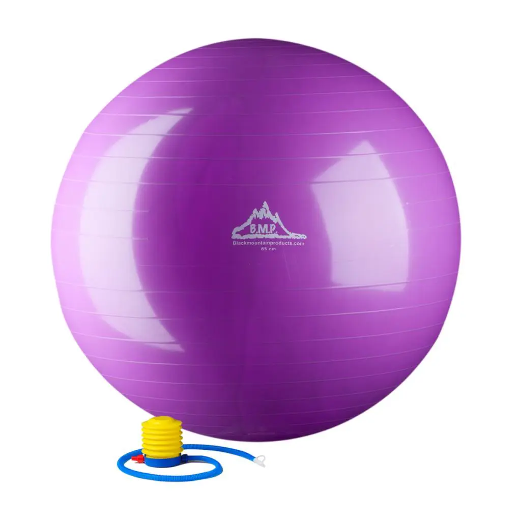 Black Mountain Products 45 cm Purple Body Balance Exercise Ball with Dense Walls, Core Strength Support, Overall Agility Training, and Included Pump, Strength Training, Pump Included, Body Balance Exercise Balls, Exercise Support