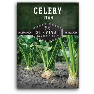 Utah Celery Seeds - High-Quality Seeds for Your Garden
