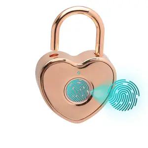 Heart Shaped Fingerprint Padlock, Small Smart Padlock for Gym Locker, Backpack, School, Mailbox, Travel Suitcase, Zinc Alloy, Rose Gold, 1 Pcs Hardware